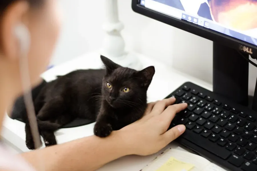 High Paying Side Jobs From Home
